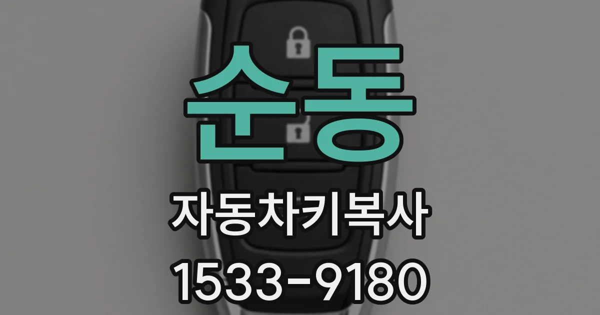 순동 자동차키복사