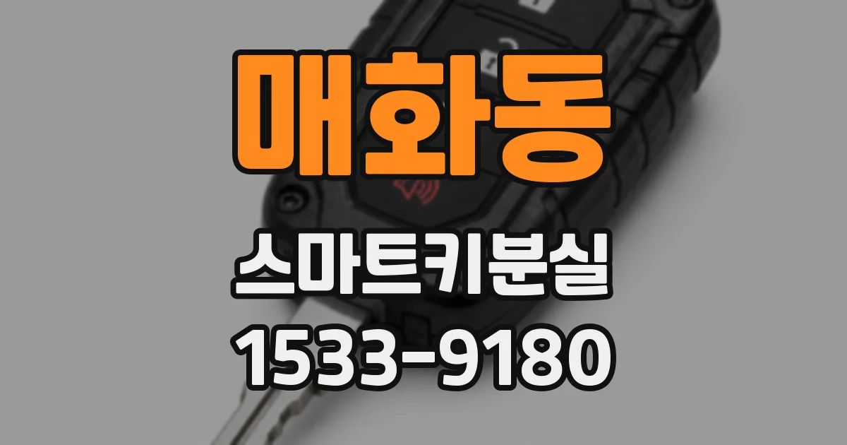 매화동 스마트키분실