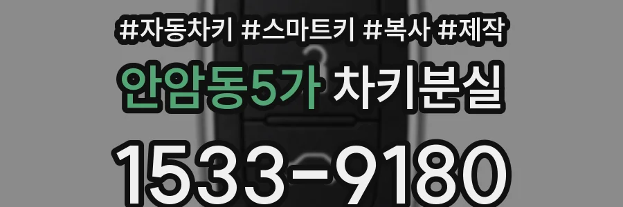 안암동5가 차키분실