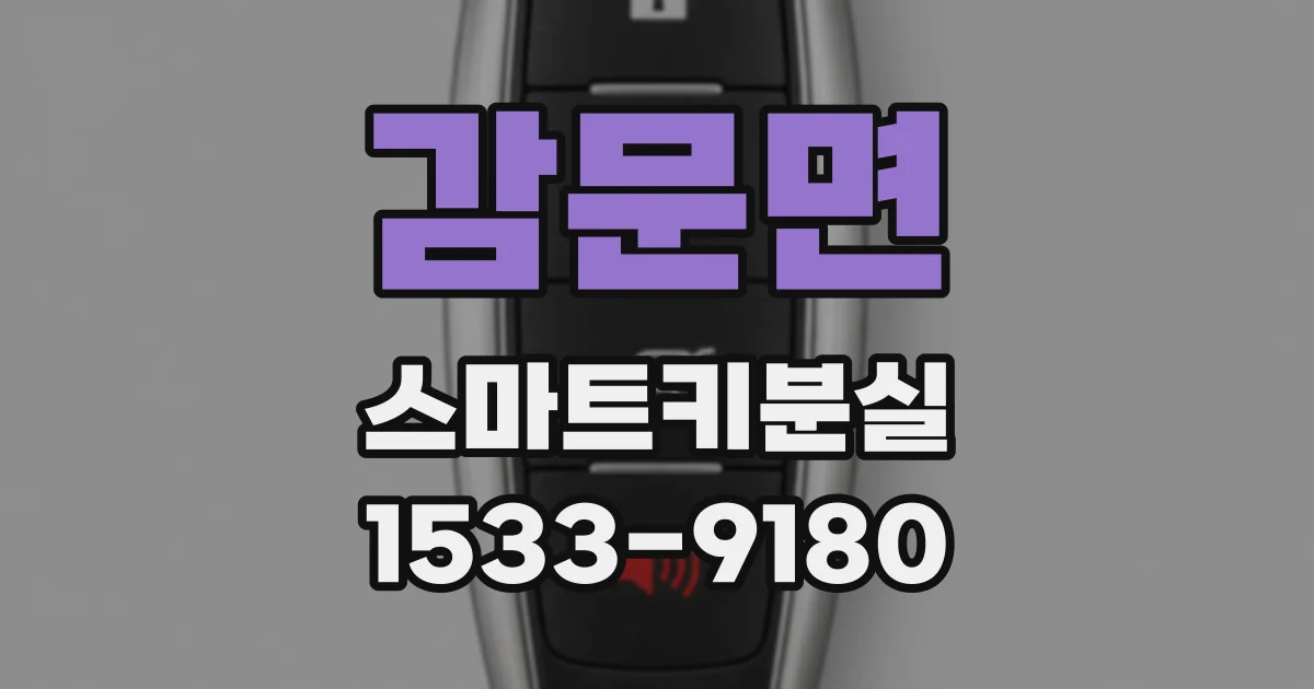 감문면 스마트키분실