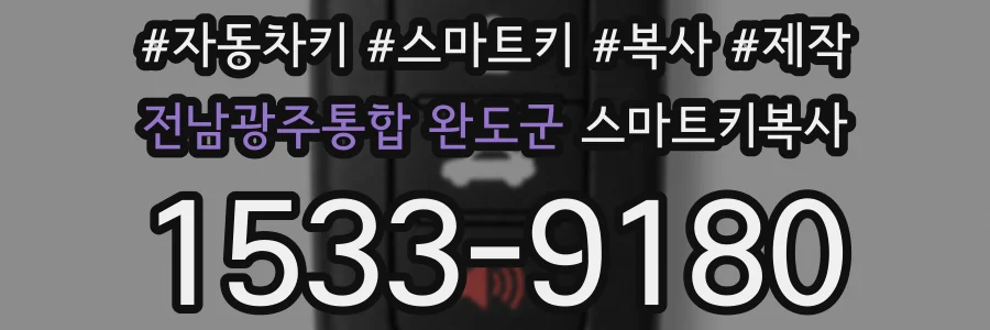 전남광주통합 완도군 스마트키복사