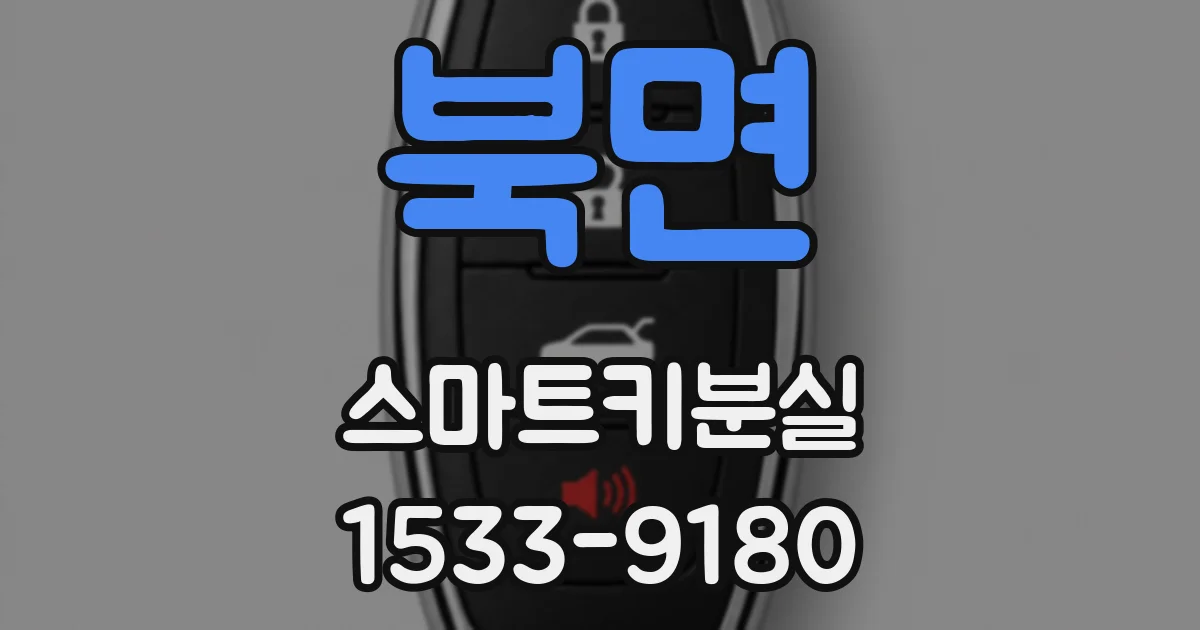 북면 스마트키분실