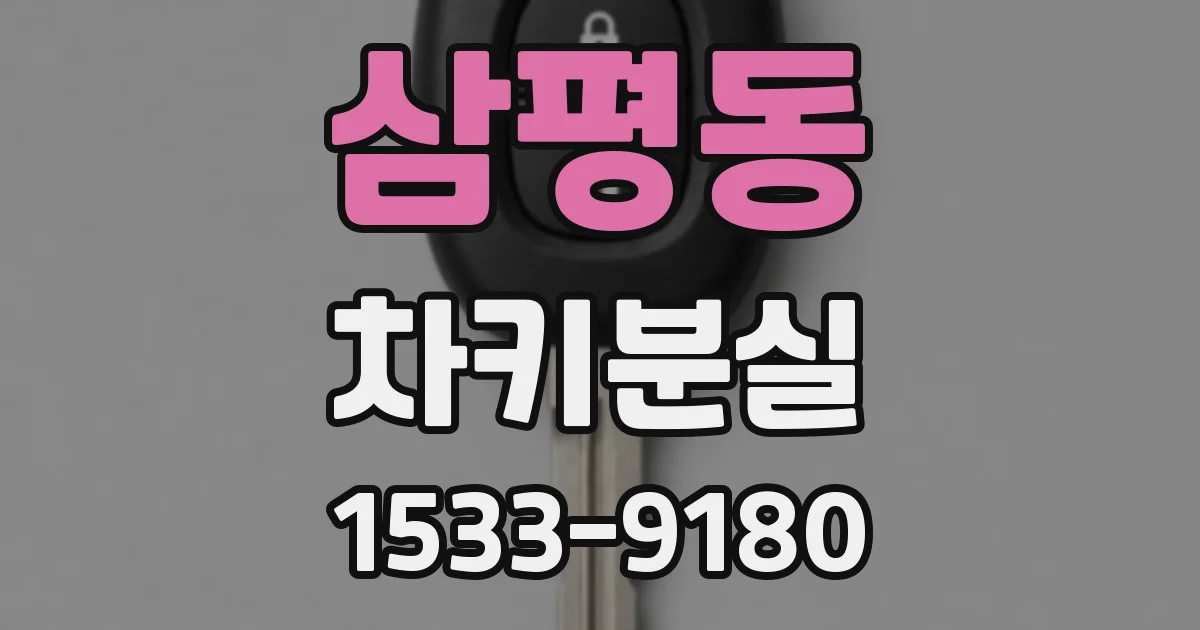 삼평동 차키분실