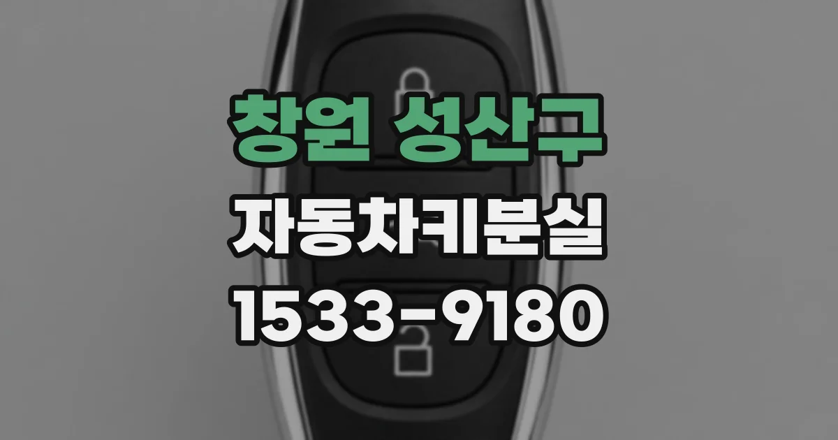 창원 성산구 자동차키분실