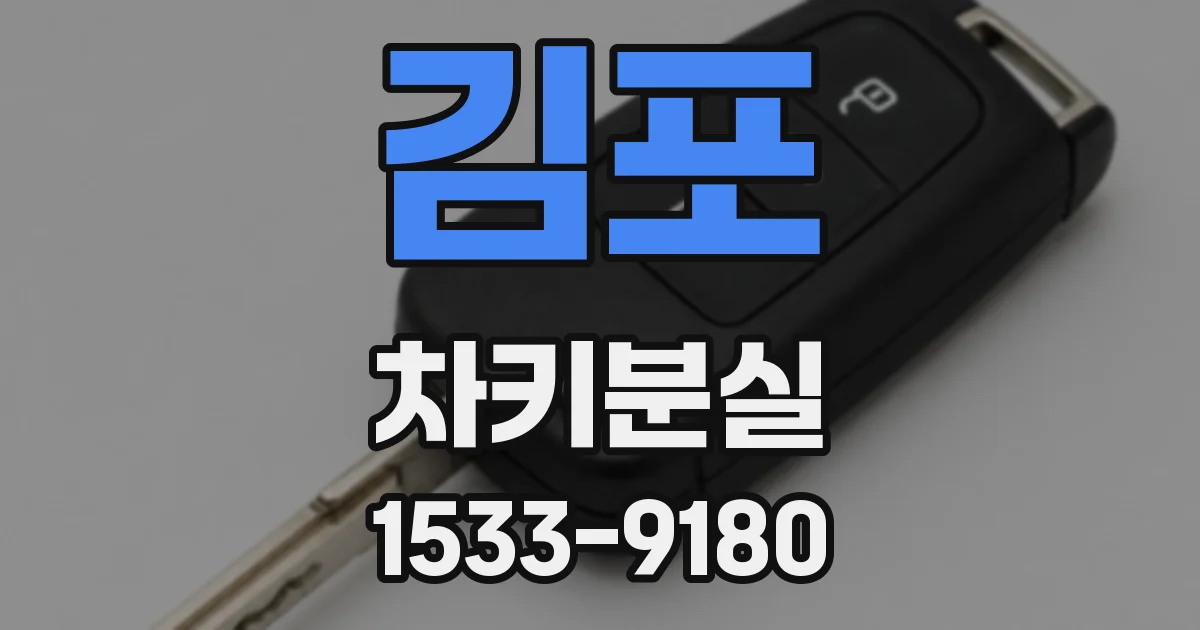 김포 차키분실