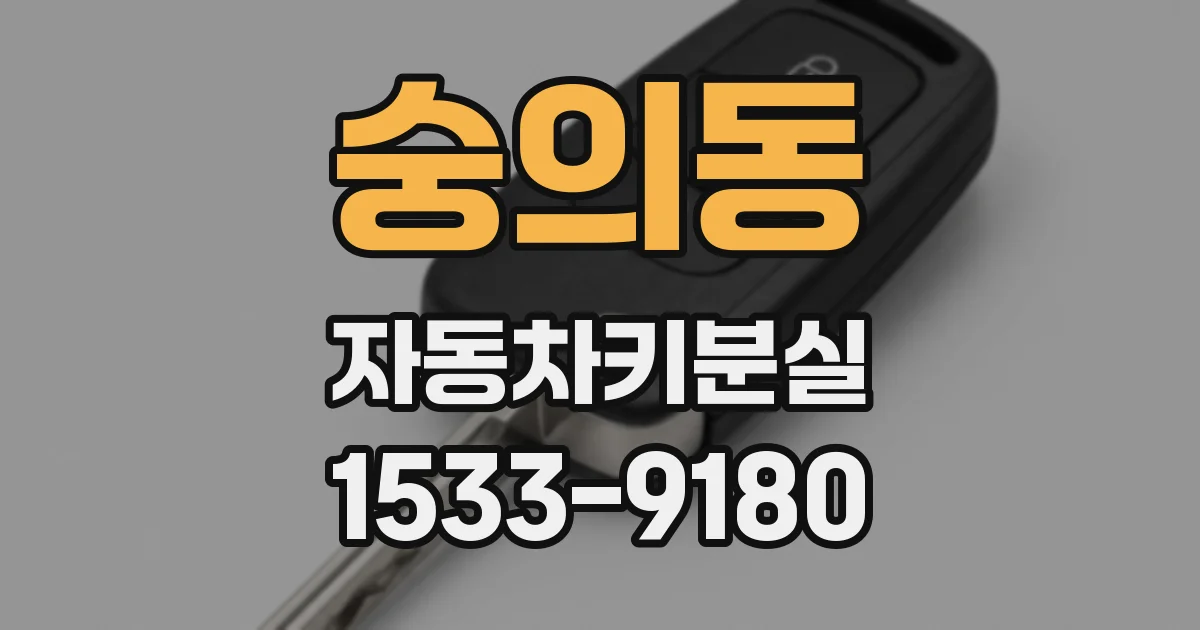 숭의동 자동차키분실