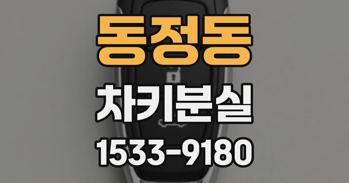 동정동 차키분실