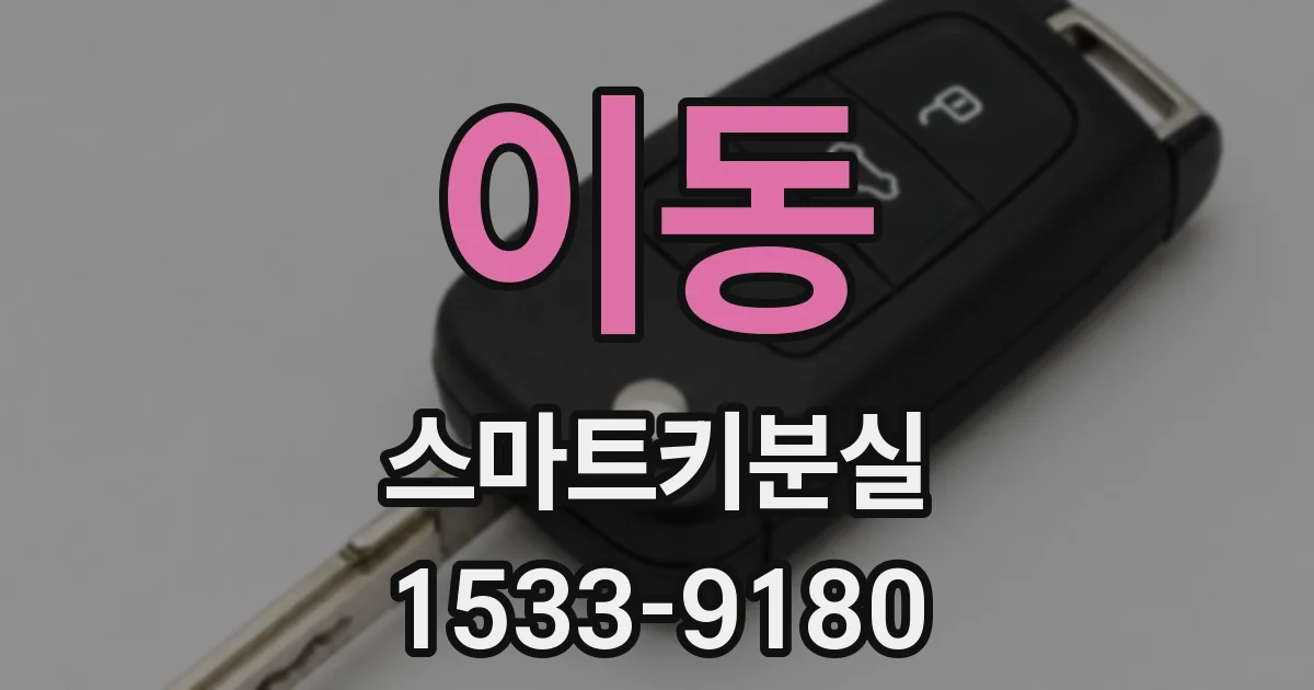 이동 스마트키분실