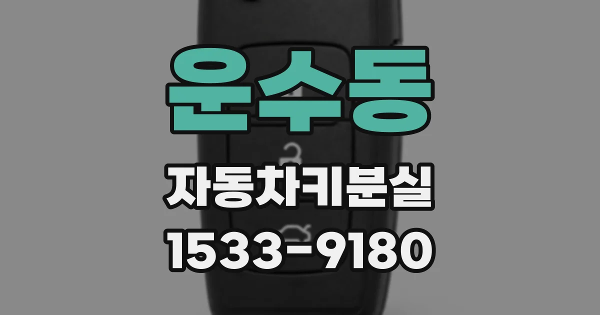 운수동 자동차키분실