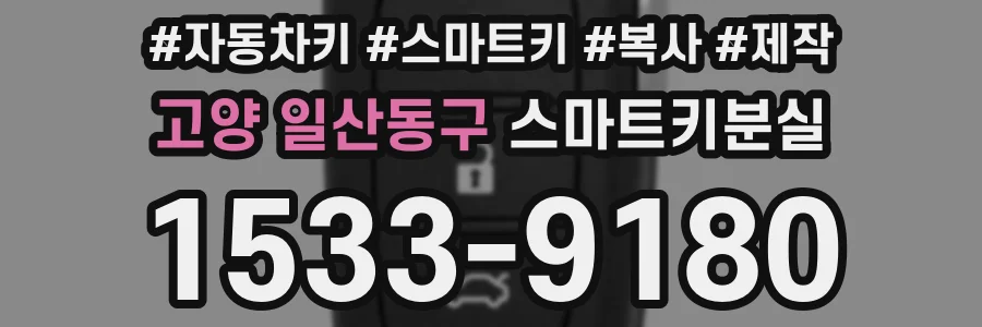 고양 일산동구 스마트키분실