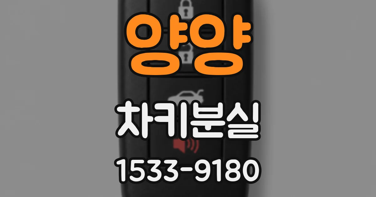 양양 차키분실