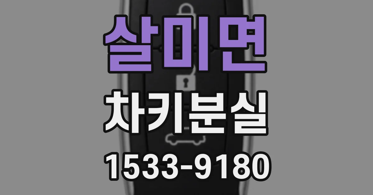 살미면 차키분실