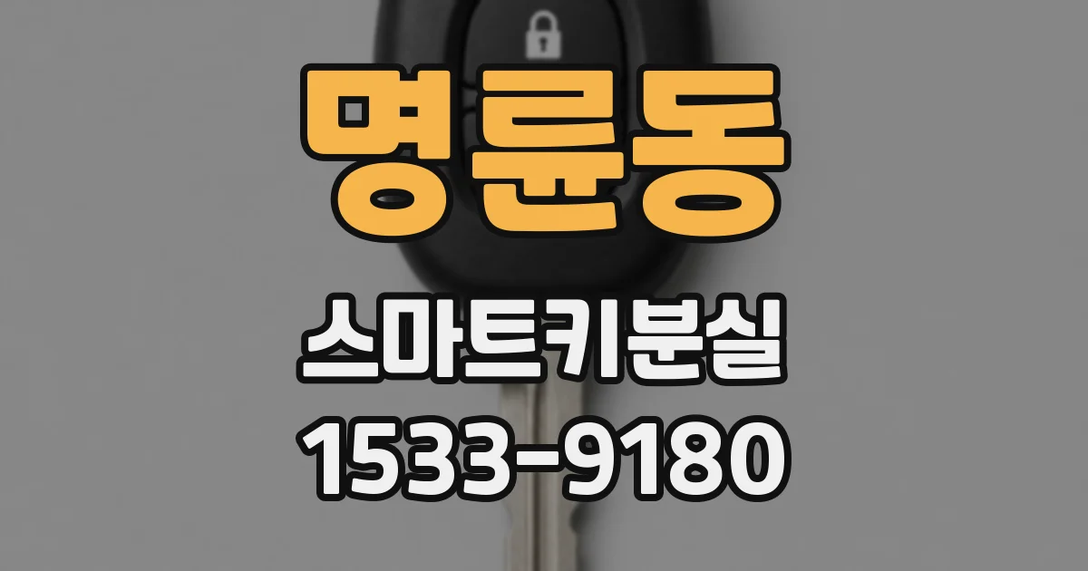 명륜동 스마트키분실
