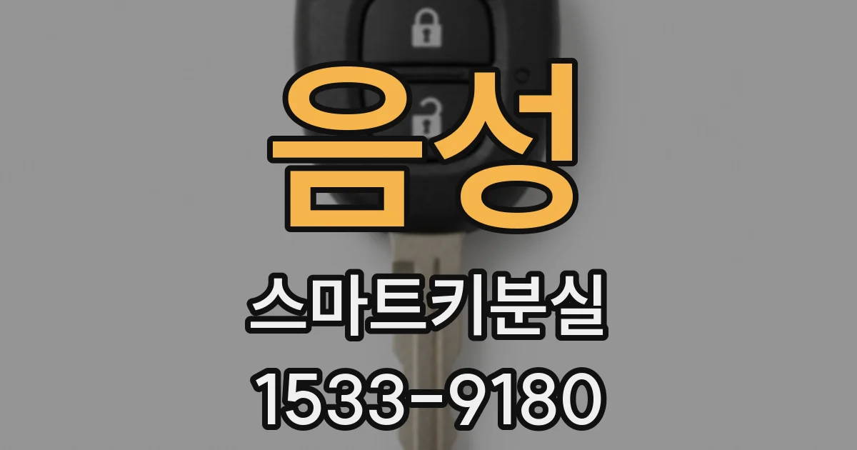 음성 스마트키분실