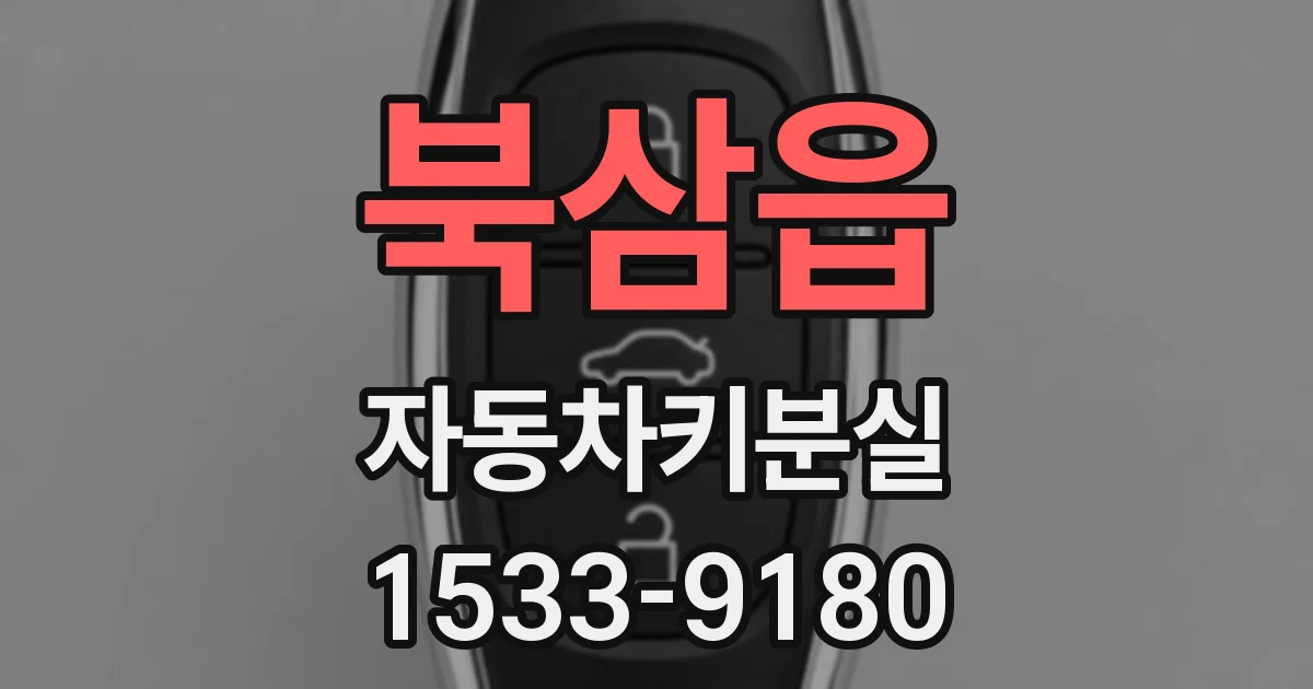 북삼읍 자동차키분실