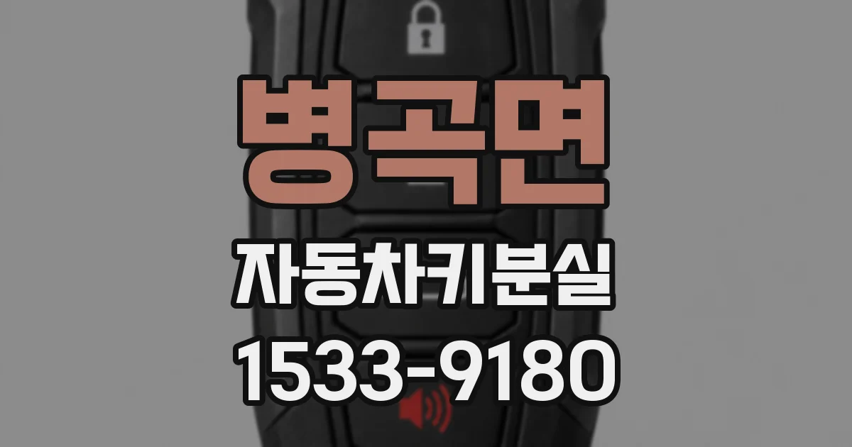 병곡면 자동차키분실
