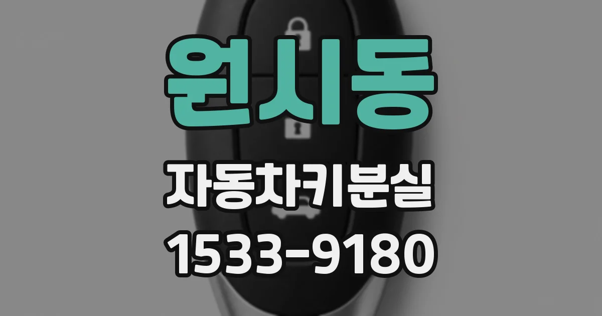 원시동 자동차키분실