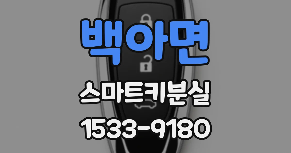 백아면 스마트키분실