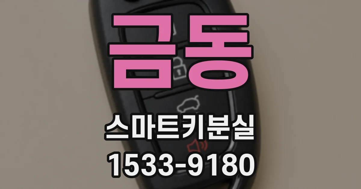 금동 스마트키분실