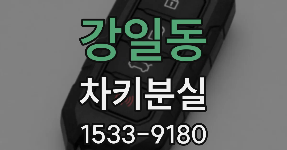 강일동 차키분실