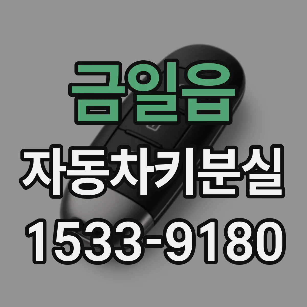 금일읍 자동차키분실