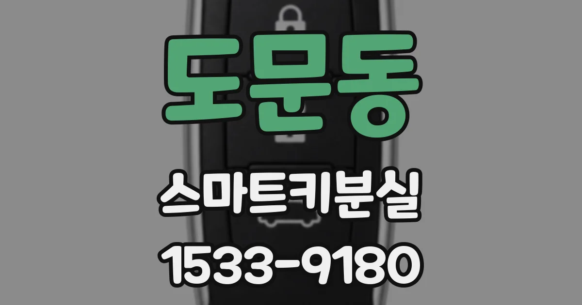 도문동 스마트키분실