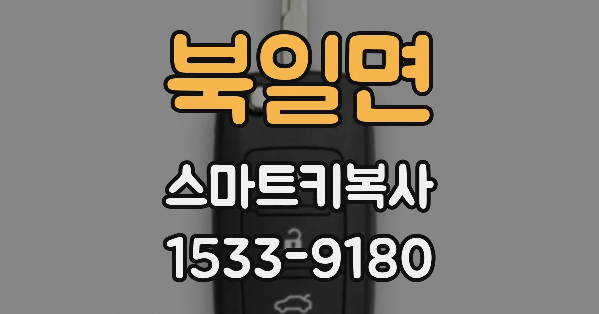 북일면 스마트키복사