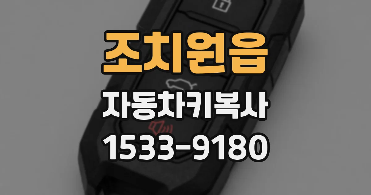 조치원읍 자동차키복사