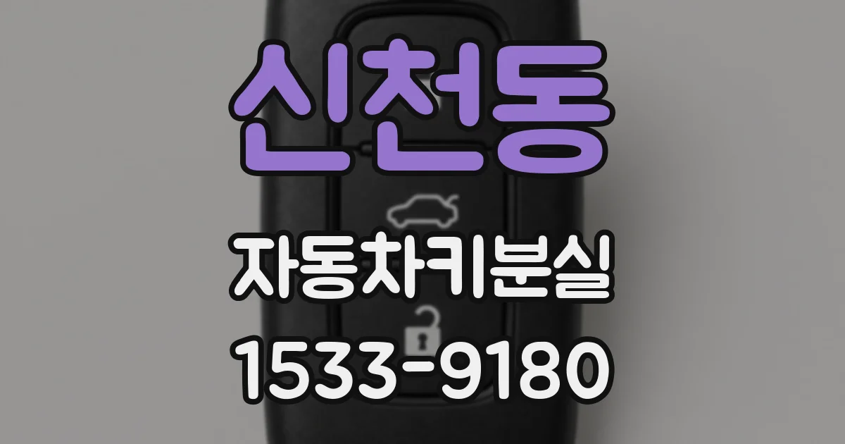 신천동 자동차키분실