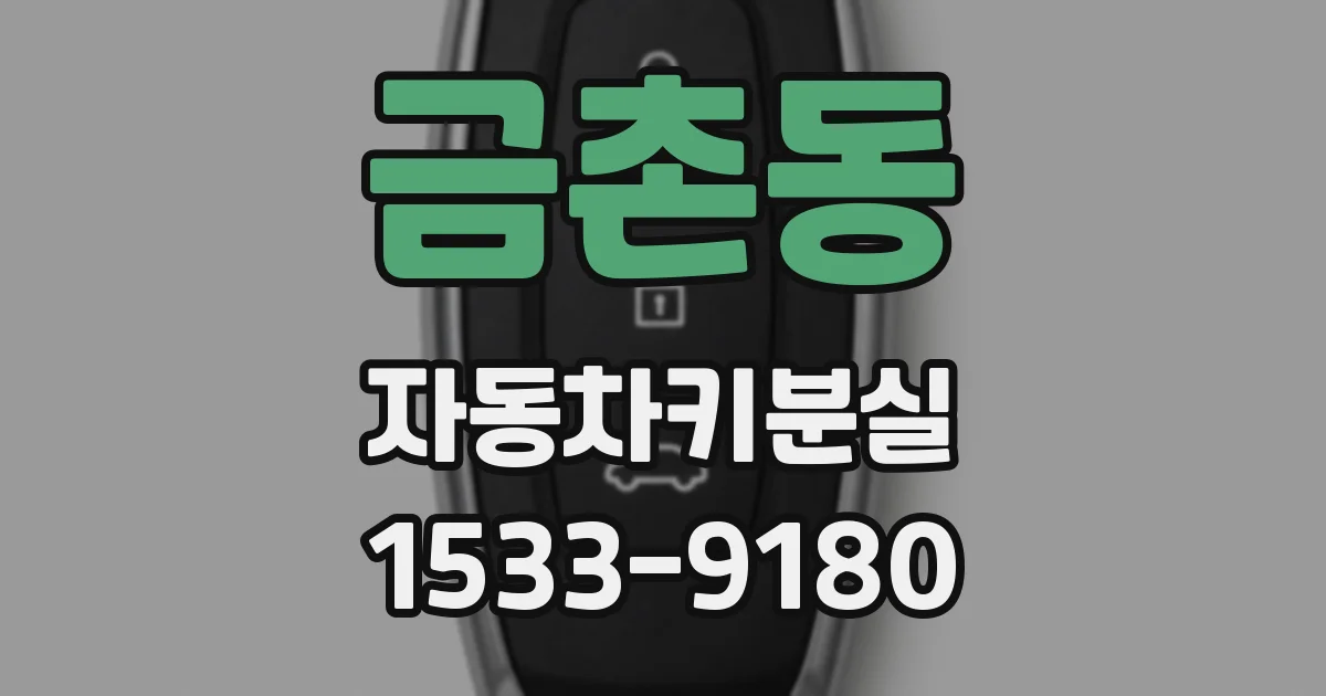 금촌동 자동차키분실