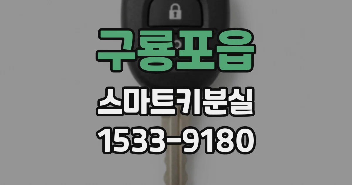 구룡포읍 스마트키분실