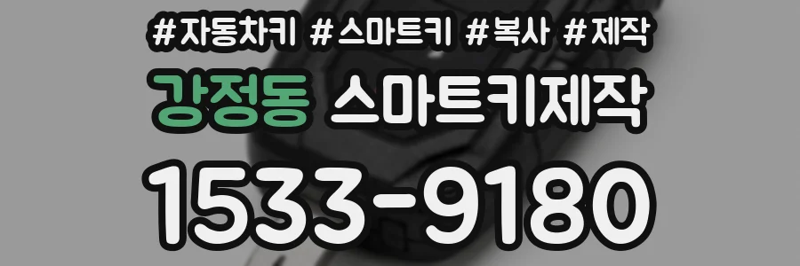 강정동 스마트키제작