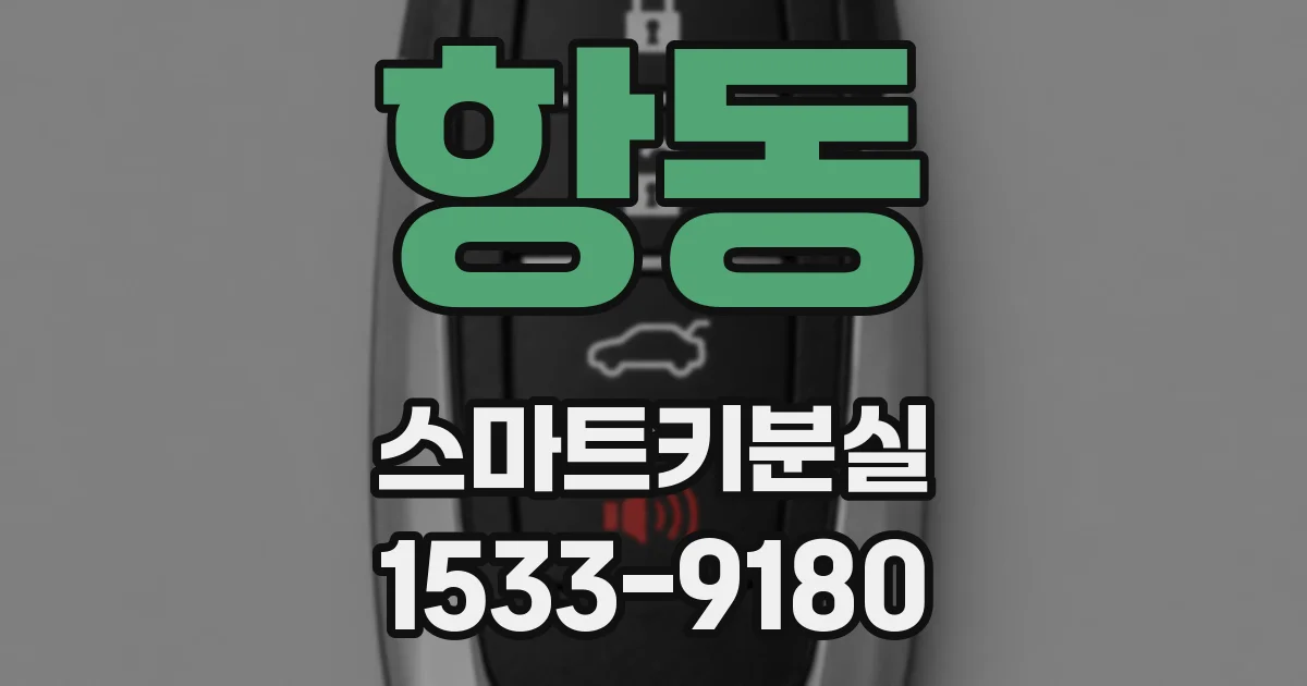 항동 스마트키분실