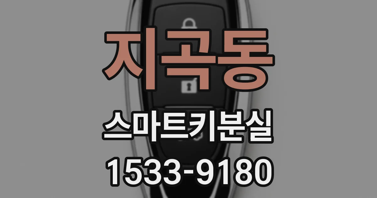 지곡동 스마트키분실