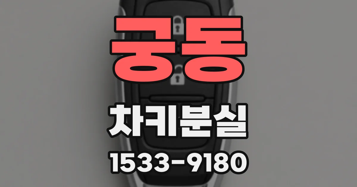 궁동 차키분실
