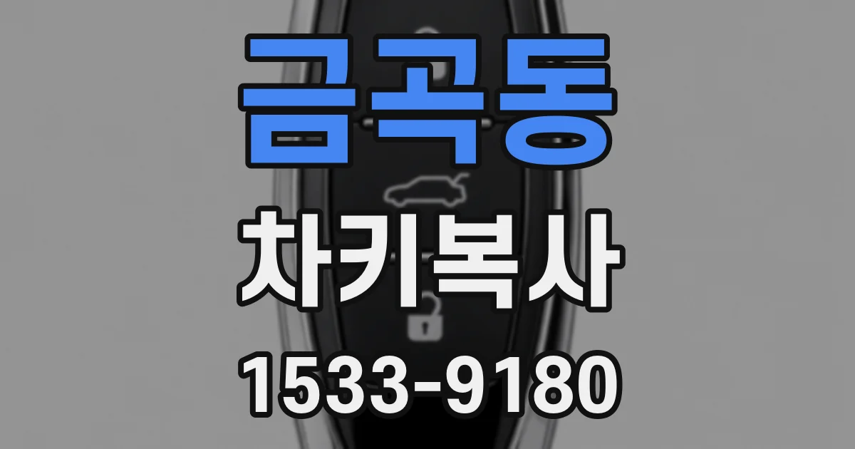 금곡동 차키복사
