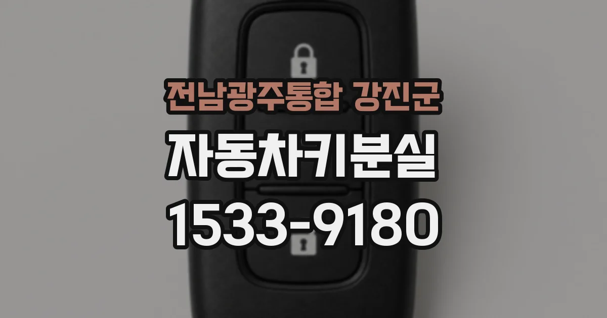 전남광주통합 강진군 자동차키분실