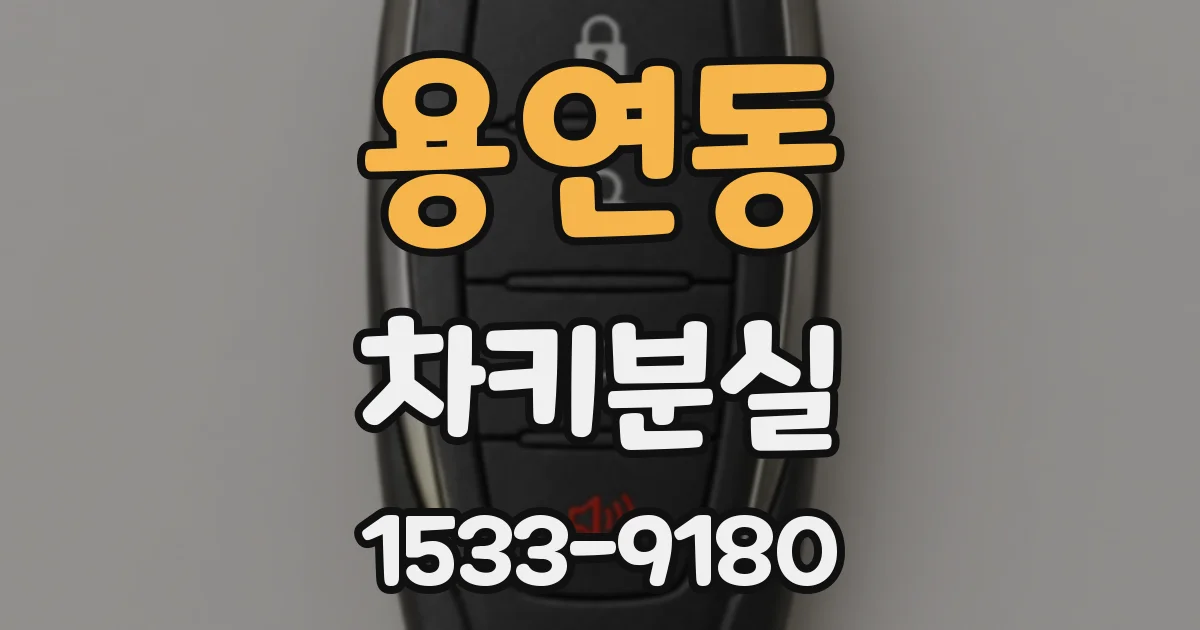 용연동 차키분실
