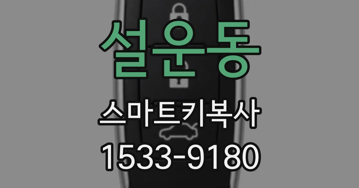 설운동 스마트키복사