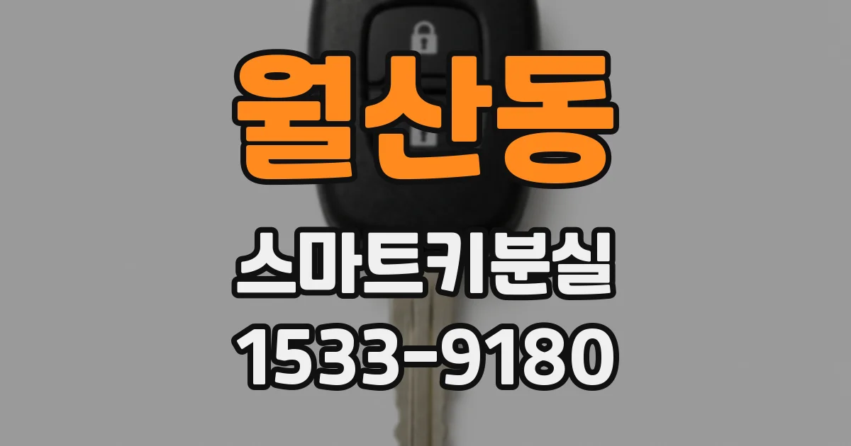 월산동 스마트키분실