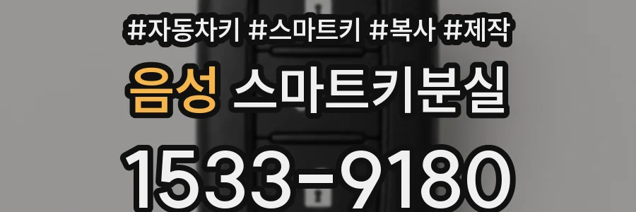음성 스마트키분실