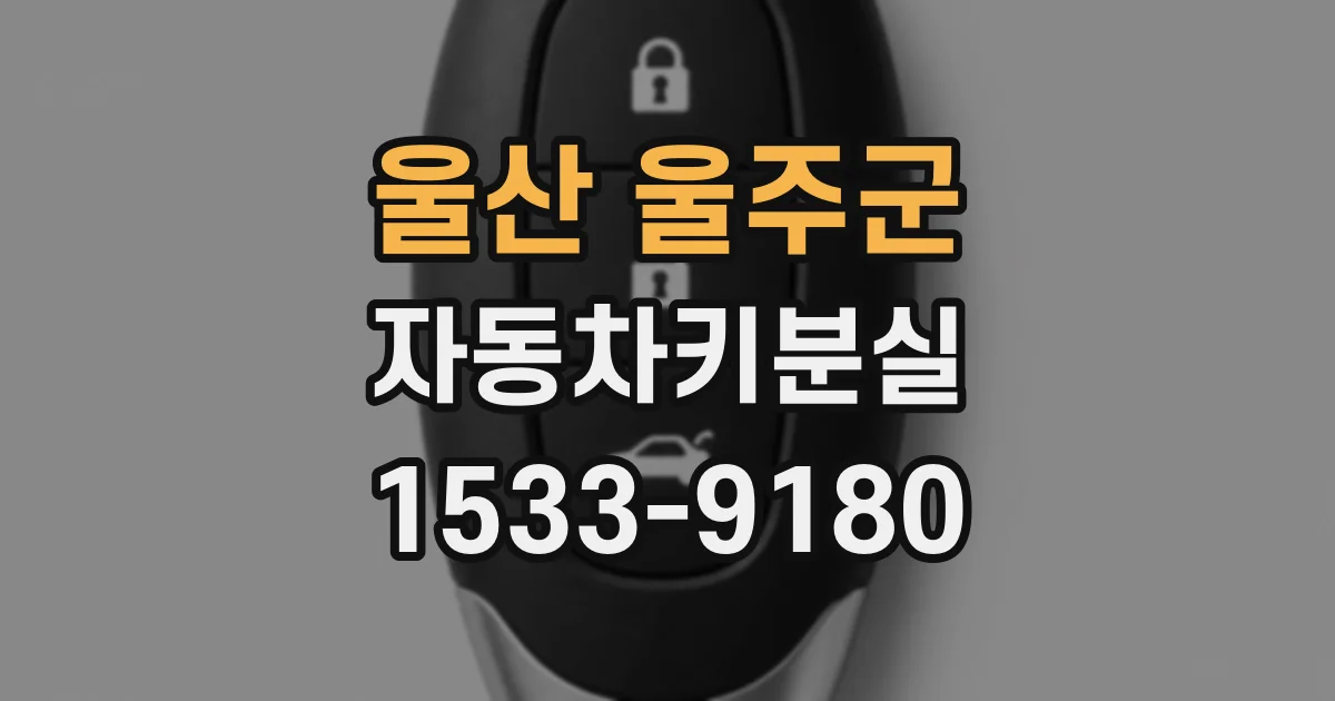 울산 울주군 자동차키분실