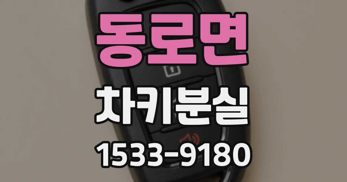 동로면 차키분실