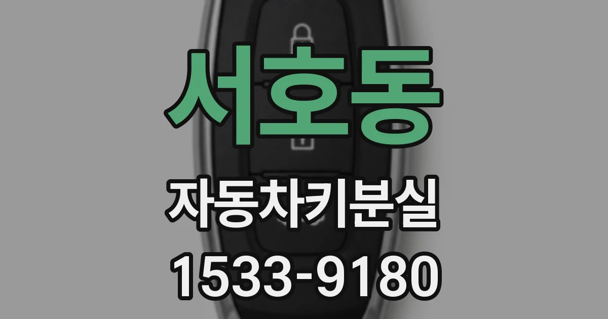 서호동 자동차키분실