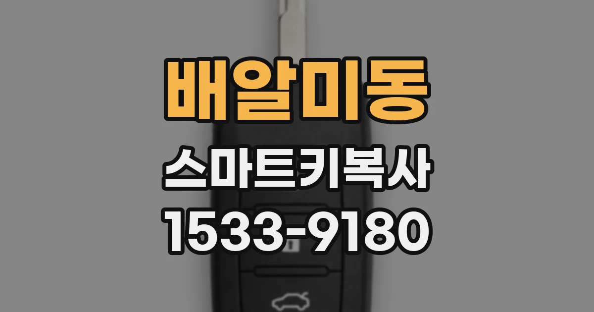 배알미동 스마트키복사