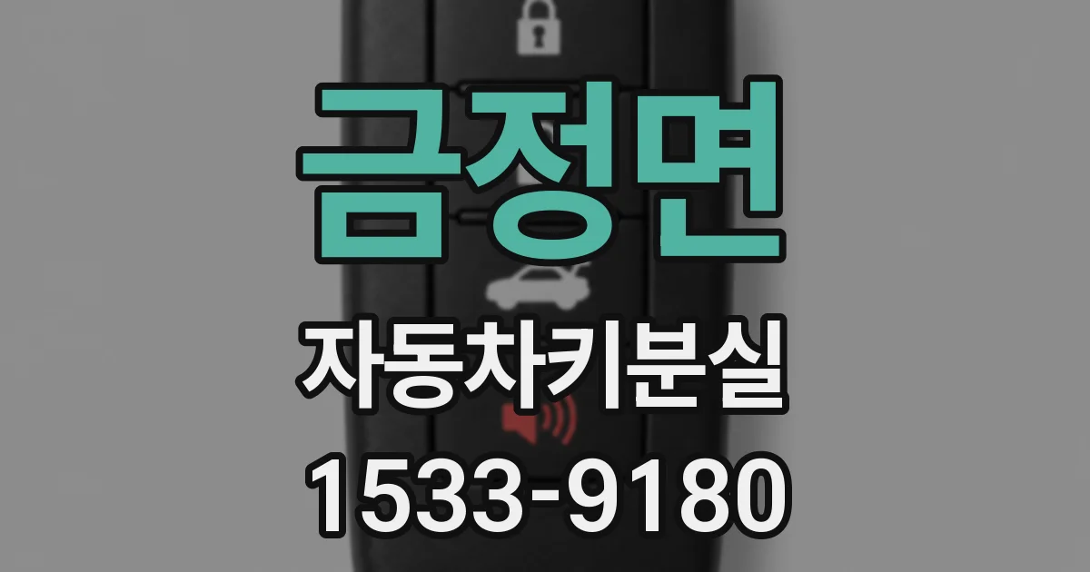 금정면 자동차키분실