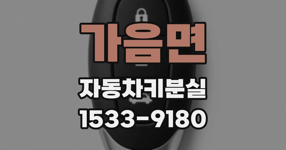 가음면 자동차키분실