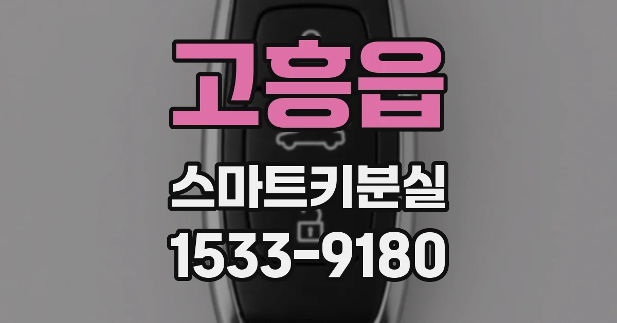 고흥읍 스마트키분실
