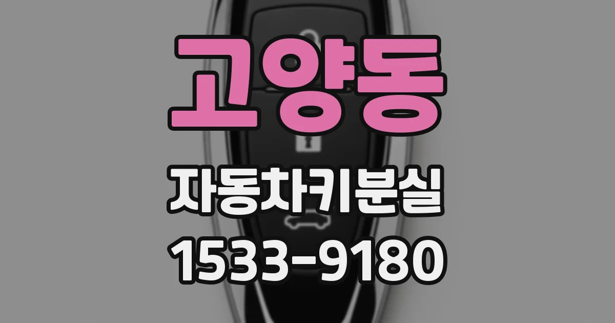 고양동 자동차키분실