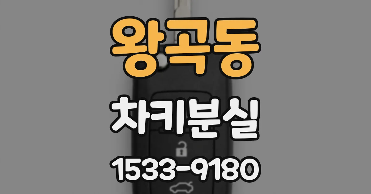 왕곡동 차키분실